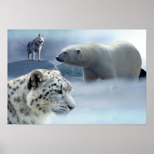 Poster Leopardo-Poster-Polar-Rouco-Neve