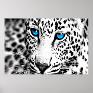 Póster Leopardo retro do tigre 80s de Corey