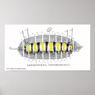 Póster Lepidoptera Pittsburghia-Zazzle, www.zazzle.com...