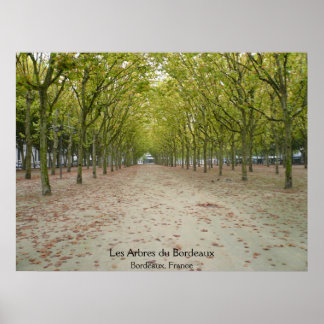 Póster Les Arbres du Bordeaux