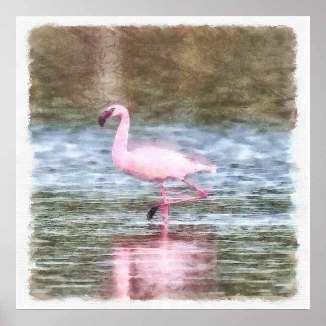 Poster Lesser Flamingo Watercolor (Frente)