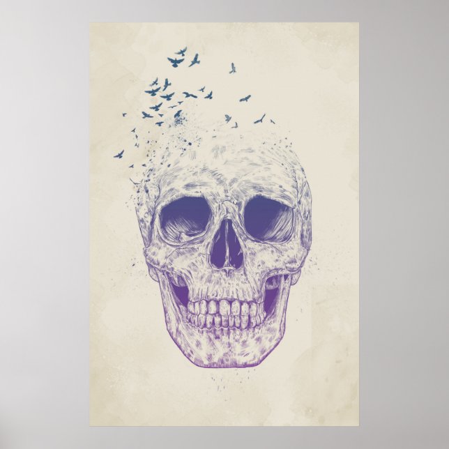 Póster Let them fly (Frente)