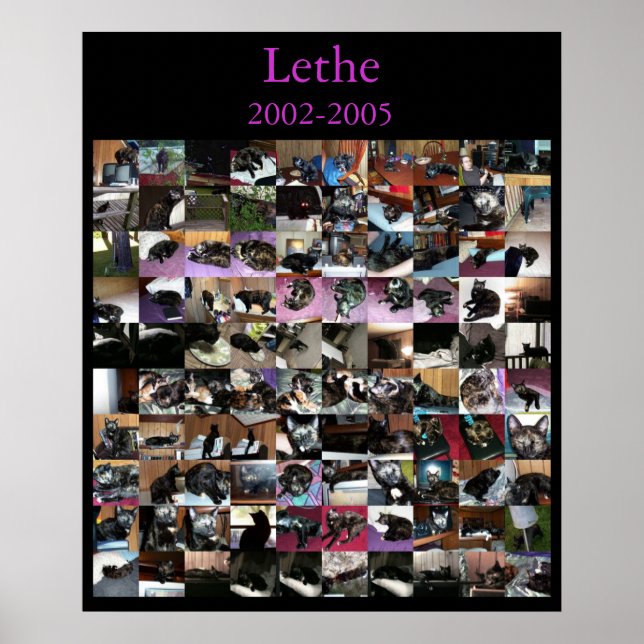 Poster Lethe (Frente)
