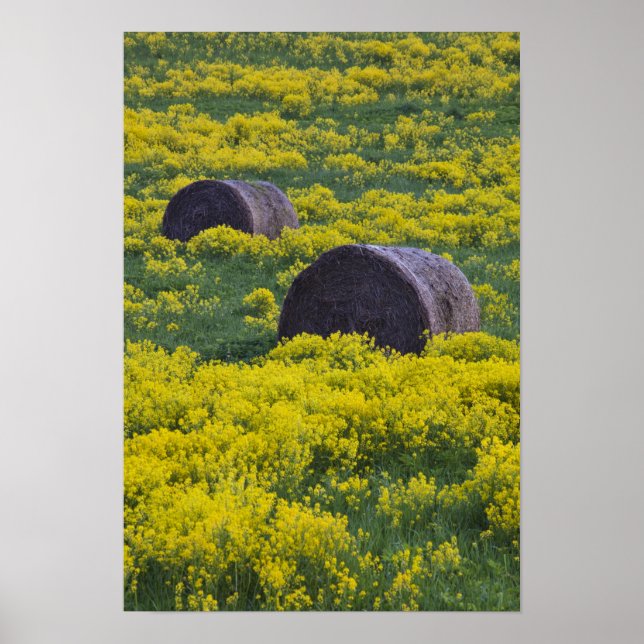 Póster Letônia, Letônia Nordeste, Região de Vidzeme, (Frente)