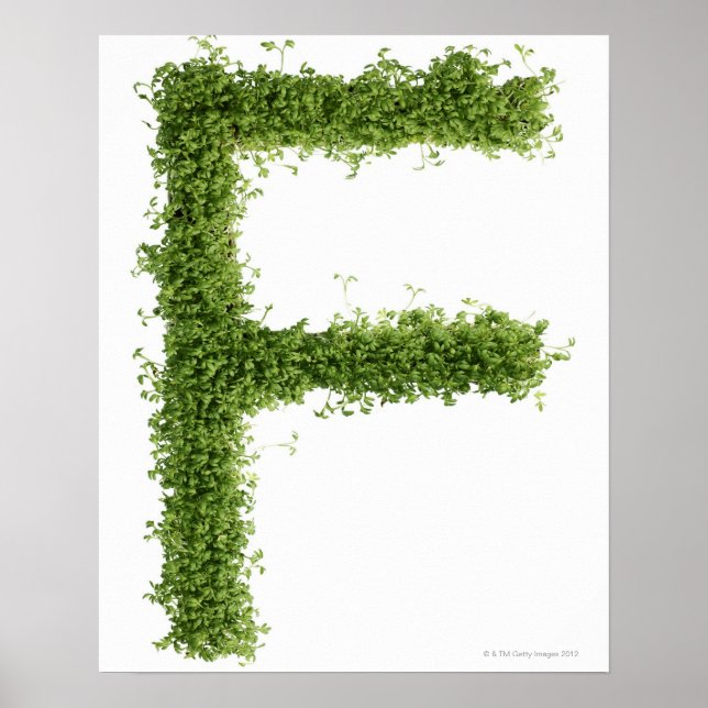 Póster Letra "F" em grese sobre fundo branco, (Frente)