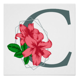 Póster Letra maiúscula C monograma floral