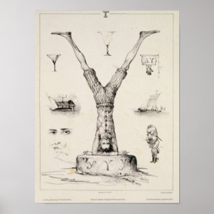 Póster Letra Y de um primata alfabético