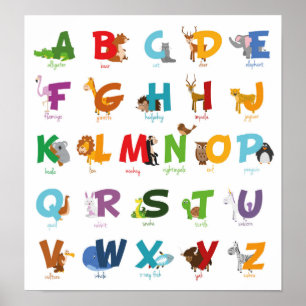 Poster Letras animais ilustradas coloridas do alfabeto