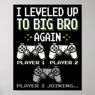 Poster Levado Para O Grande Irmão Novamente Gamer Engraça