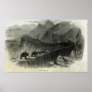 Poster Levando as armas