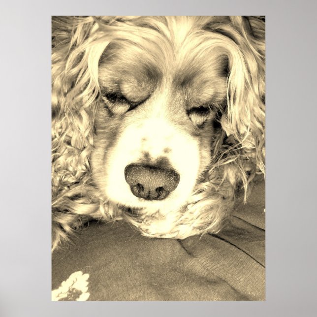 Póster Levando um momento (Frente)