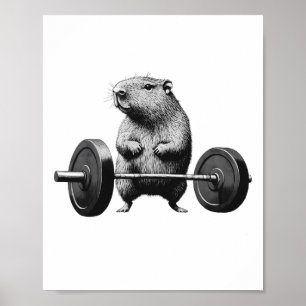 Poster Levantamento de Peso Capivara Fitness Divertido Am