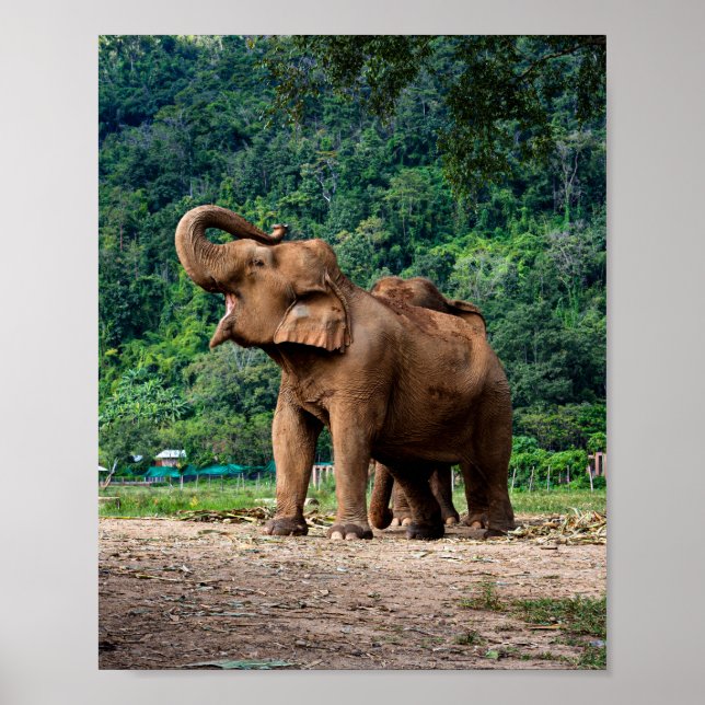 Poster Levante-Se E Seja Ouvido (Frente)