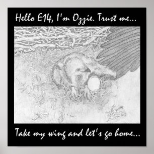 POSTER LEVE MEU VAMOS DE LAR PARA CASA SALVAR A VIDA SELV