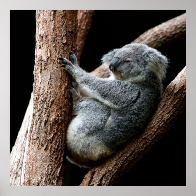 POSTER LEVE O SEU TEMPO (Frente)