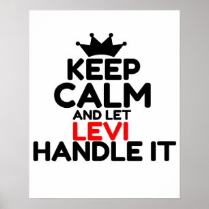 POSTER LEVI