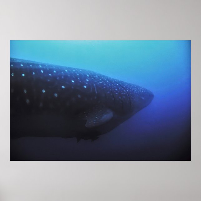 Poster Leviathan (Frente)