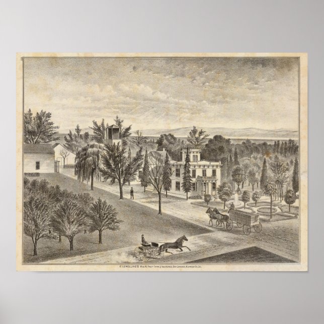 Póster Leweling res, fazenda (Frente)