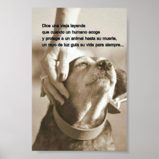 Poster Leyenda sobre adoptar animales