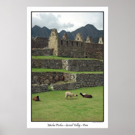 Póster Lhamas de Machu Picchu Peru