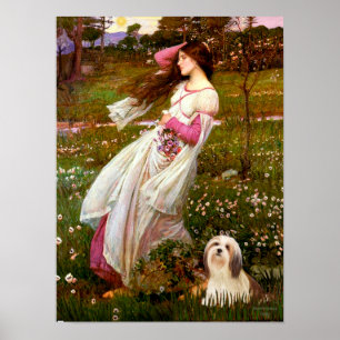 Póster Lhasa Apso 4 - Flores