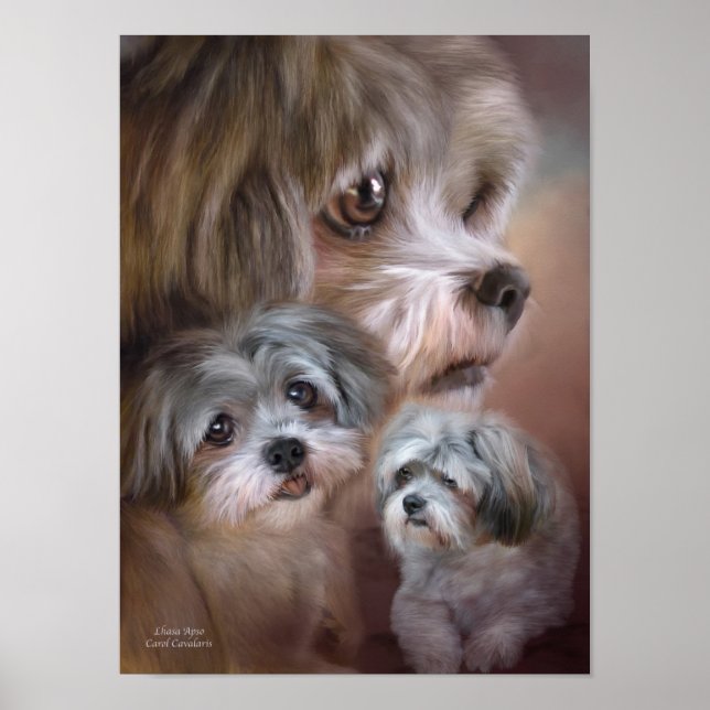 Póster Lhasa Apso Art Poster/Impressão (Frente)