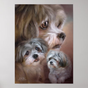 Póster Lhasa Apso Art Poster/Print