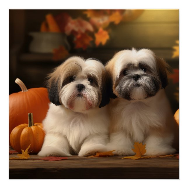 Póster Lhasa Apso Puppy Autumn Delight Pumpkin (Frente)