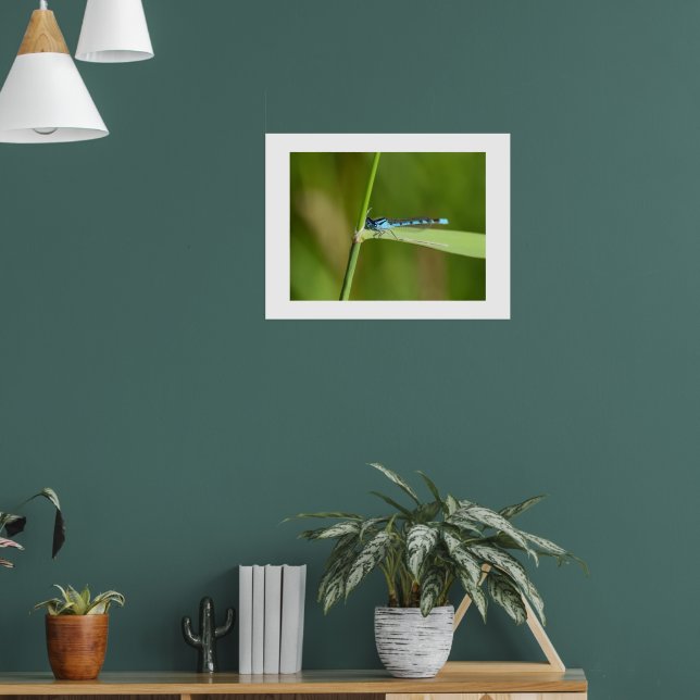 Poster Libélula  (Sala de Estar 1)