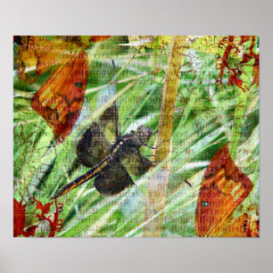 Póster Libélula, mosca afastado