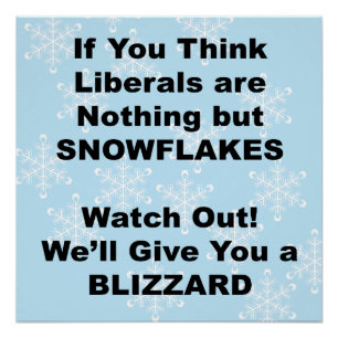 Póster Liberal Blizzard