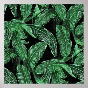 Poster Liberar Folhas de Selva Quentes