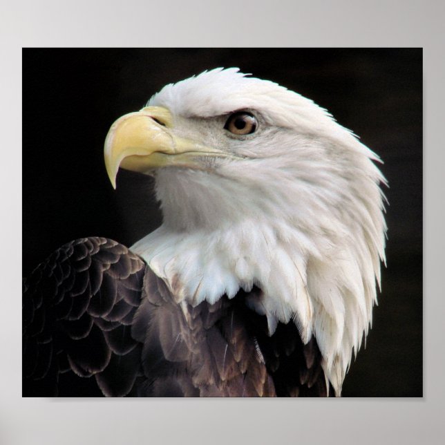 Póster Liberdade (Frente)