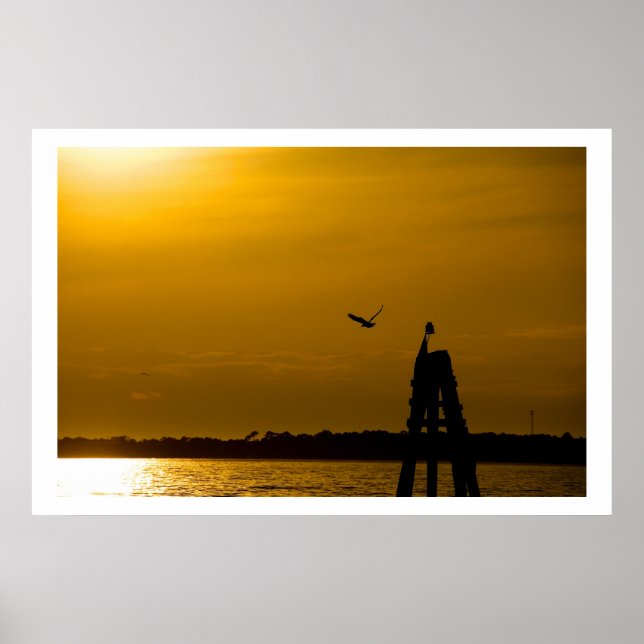 Poster Liberdade de voo (Frente)