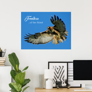 Poster Liberdade dos Céus Falcão-de-cauda-vermelha