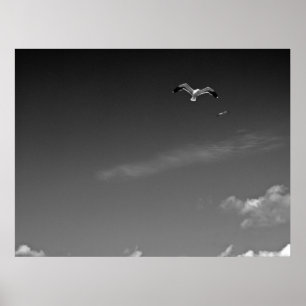 Póster Liberdade em BW