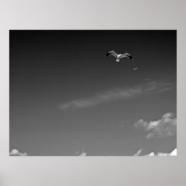 Póster Liberdade em BW (Frente)