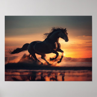 Poster Liberdade nas areias