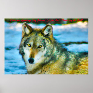 Poster Líder cartões de natal do Pacote