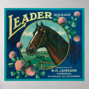 Poster Líder LabelCorona alaranjado, CA