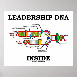 Poster Liderança Dentro de DNA (Atitude Biológica)