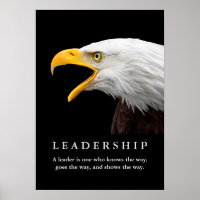 Liderança Motivacional Bálida Americana