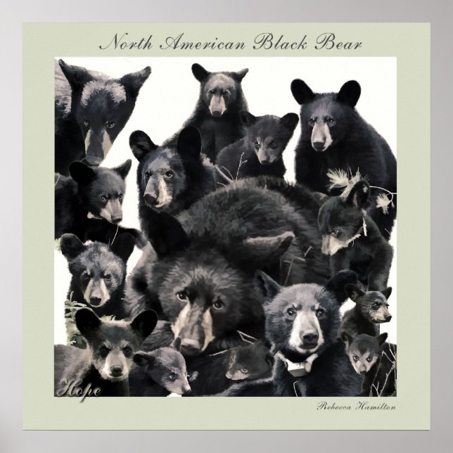 Póster LIfe da Esperança (Frente)