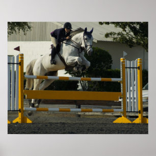 Póster Ligação em ponte