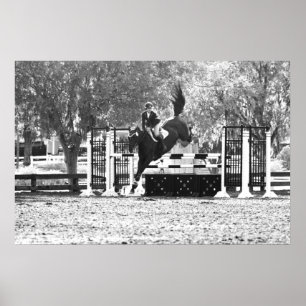 Póster Ligação em ponte