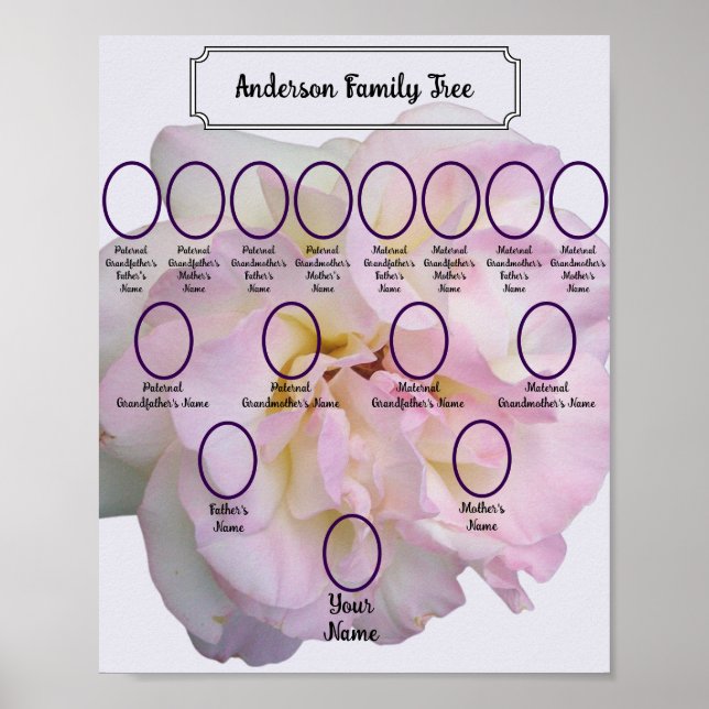Poster Light Pink Rose Photo with Oval Ancestor Photos (Frente)