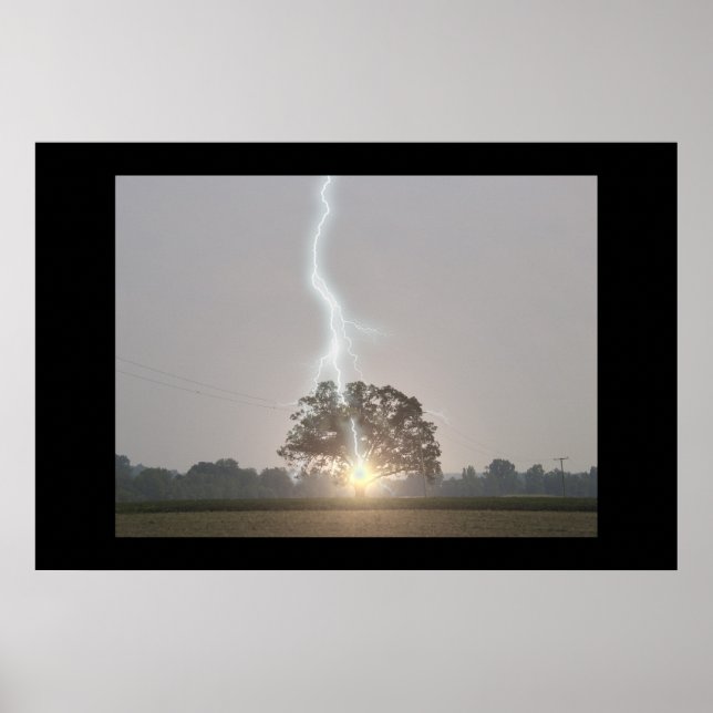 Póster Lightning Strikes Oak Tree (Frente)