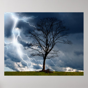 Póster Lightning Tree