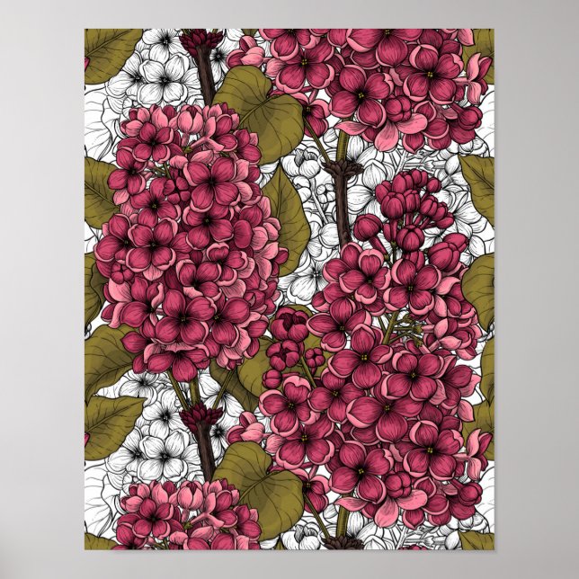 Poster Lilac (Frente)