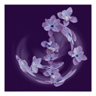 Póster Lilac em círculo